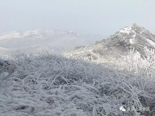 「金頂●冬雪」忽如一夜春風(fēng)來，千樹萬樹梨花開