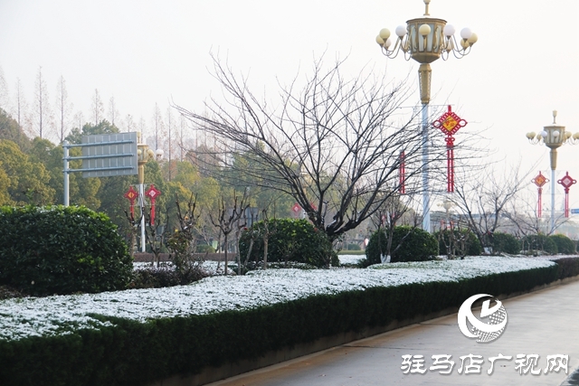駐馬店市區(qū)迎來(lái)今冬第一場(chǎng)雪