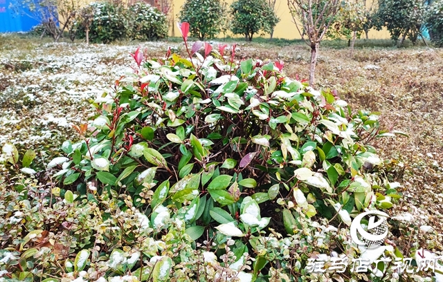 駐馬店市區(qū)迎來(lái)今冬第一場(chǎng)雪