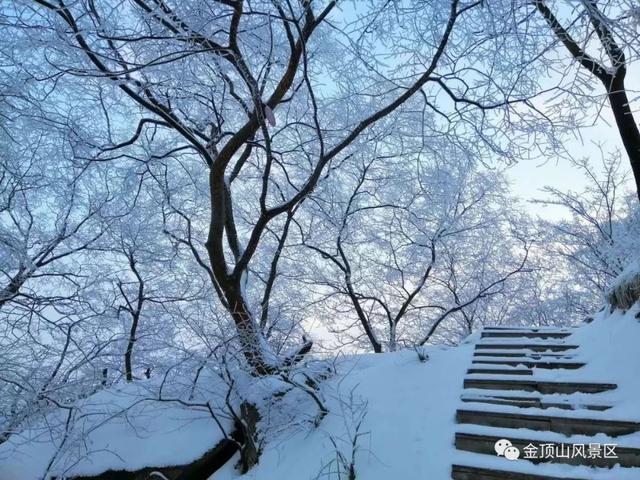 「金頂●冬雪」忽如一夜春風(fēng)來，千樹萬樹梨花開