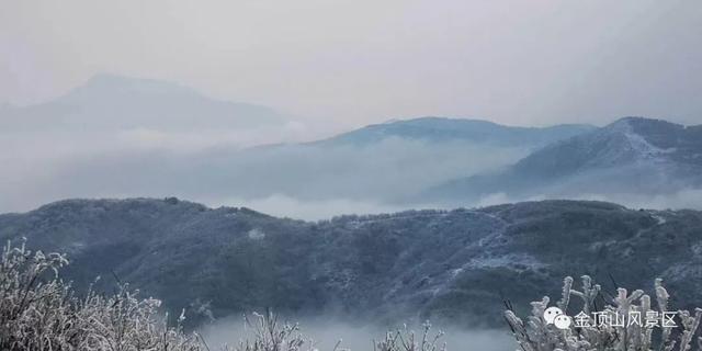 「金頂●冬雪」忽如一夜春風(fēng)來，千樹萬樹梨花開