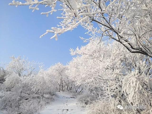「金頂●冬雪」忽如一夜春風(fēng)來，千樹萬樹梨花開