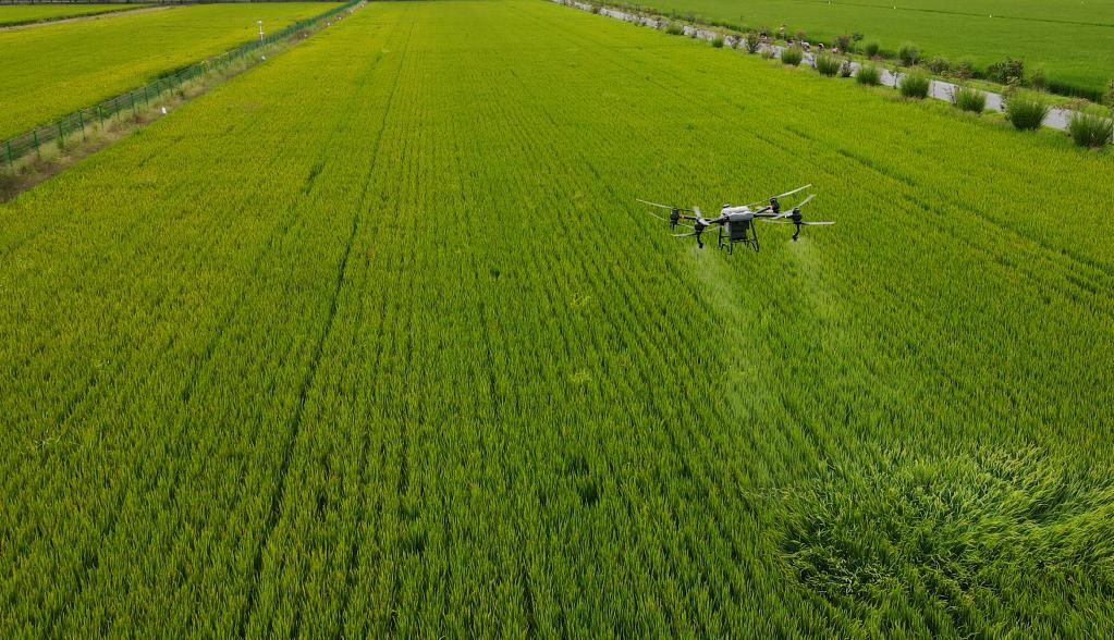 聆聽2022|2022的“我們”