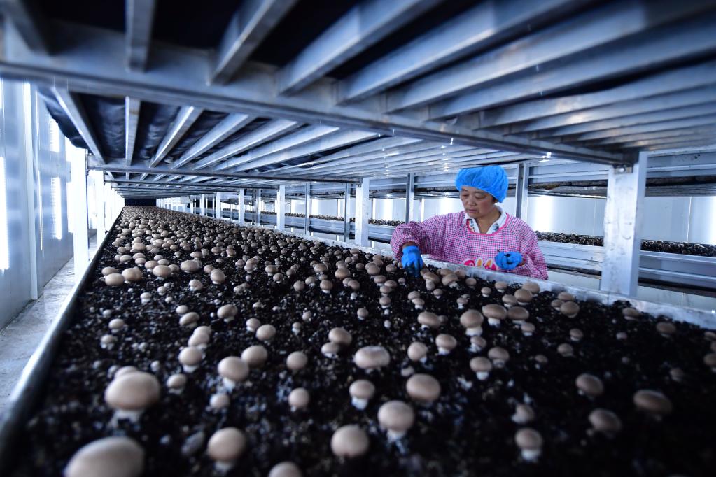 聆聽2022|2022的“我們”