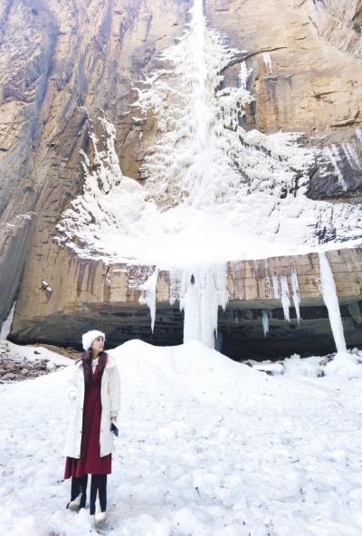 太行深處的神奇&ldquo;圣誕樹&rdquo; 世上獨一無二