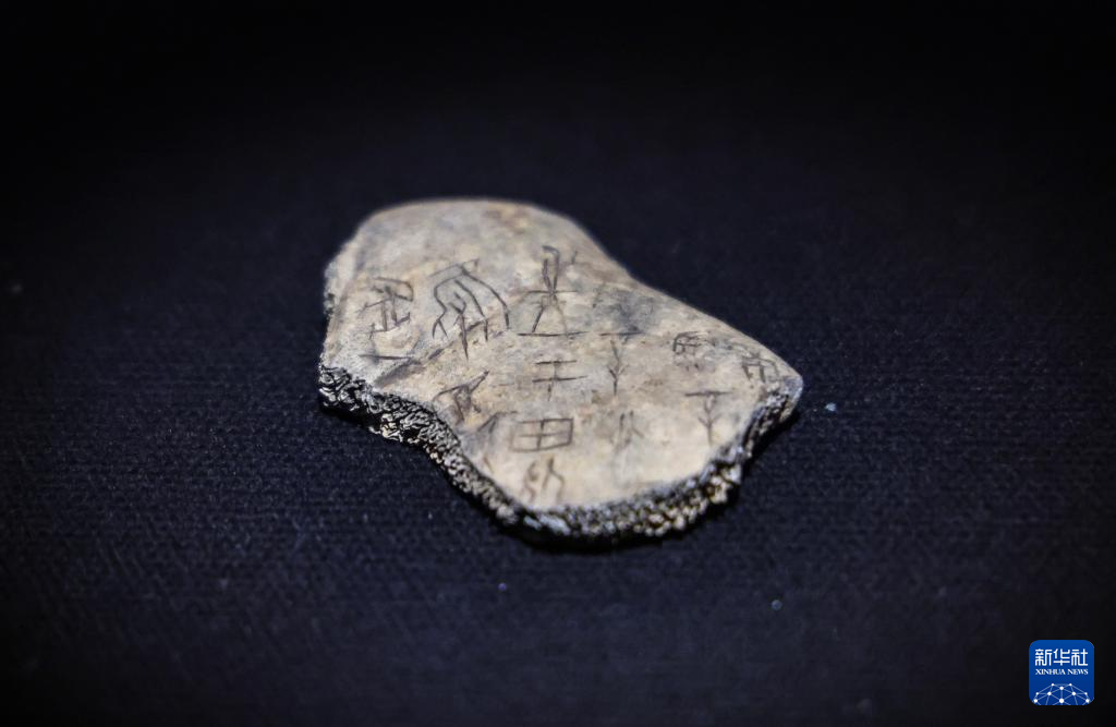 甲骨、簡牘、敦煌遺書、明清檔案首次在國家典籍博物館集中亮相