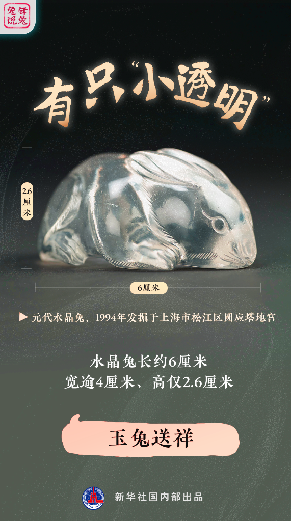 新年“兔”點(diǎn)啥？跨越時空，兔子們發(fā)來祝福！