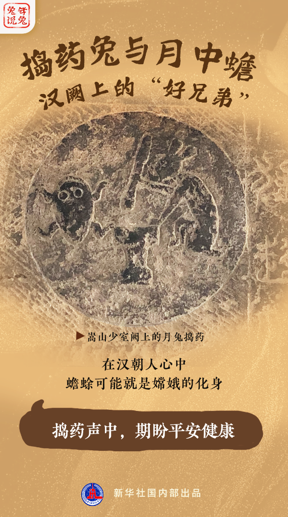 新年“兔”點(diǎn)啥？跨越時空，兔子們發(fā)來祝福！