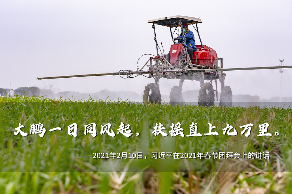聯(lián)播+｜一年之計(jì)在于春 跟著總書記奮進(jìn)新征程