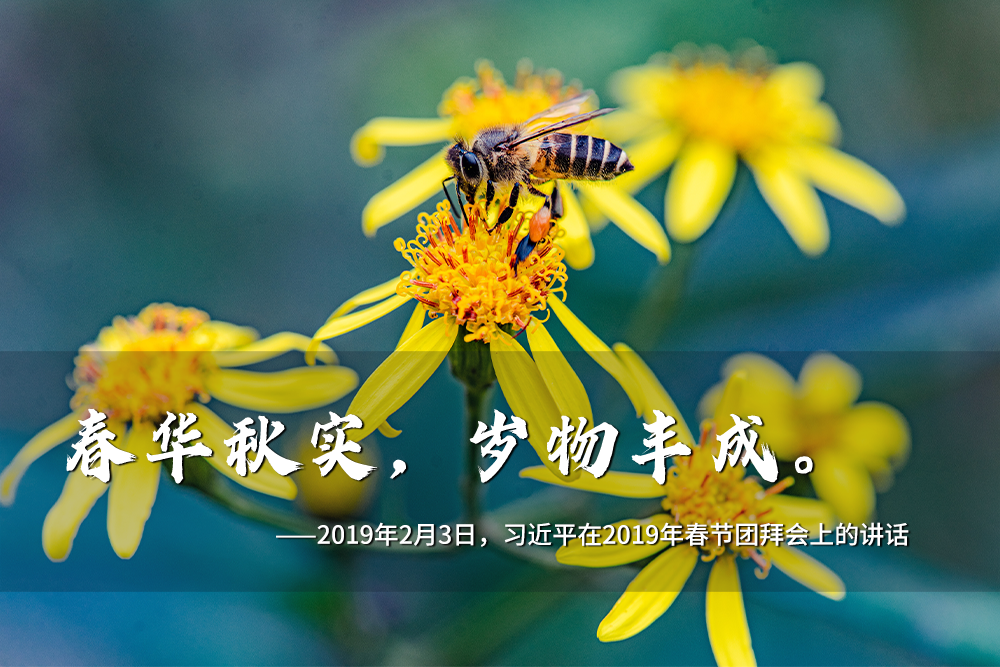 聯(lián)播+｜一年之計(jì)在于春 跟著總書記奮進(jìn)新征程