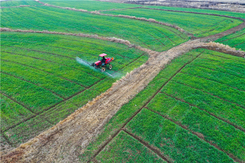 何言:沃野千里繪新圖