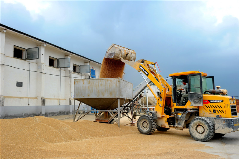 何言:沃野千里繪新圖