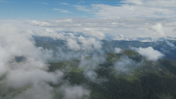微視頻｜守護(hù)生態(tài)寶庫