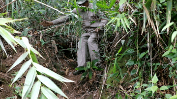 微視頻｜守護(hù)生態(tài)寶庫