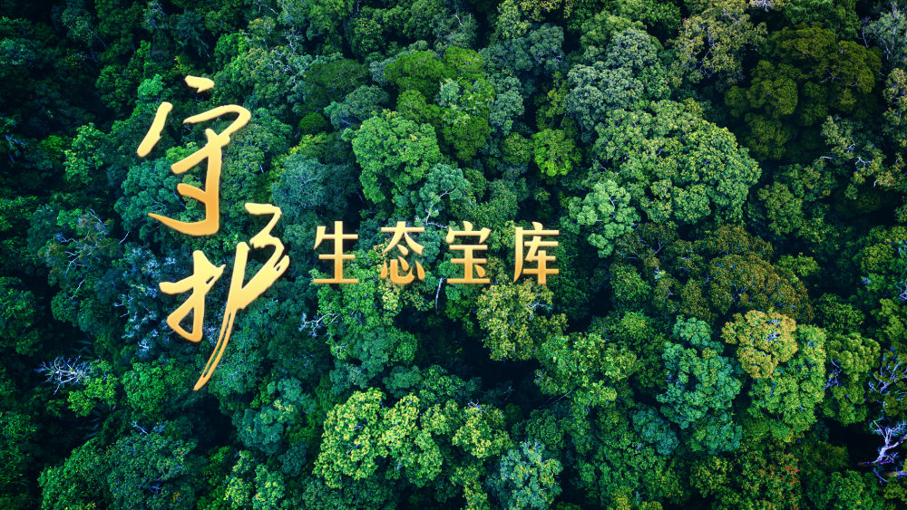 微視頻｜守護(hù)生態(tài)寶庫