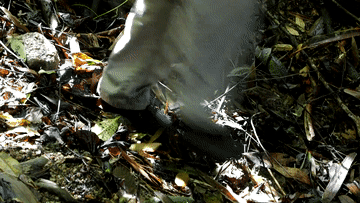 微視頻｜守護(hù)生態(tài)寶庫