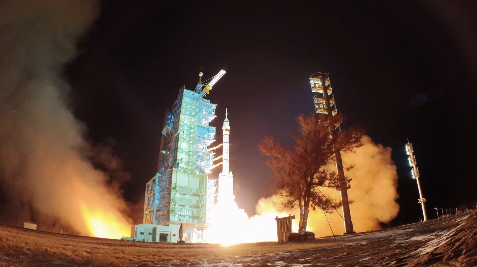 開山島樹種“游”太空