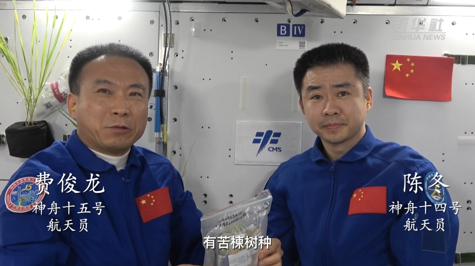 開山島樹種“游”太空