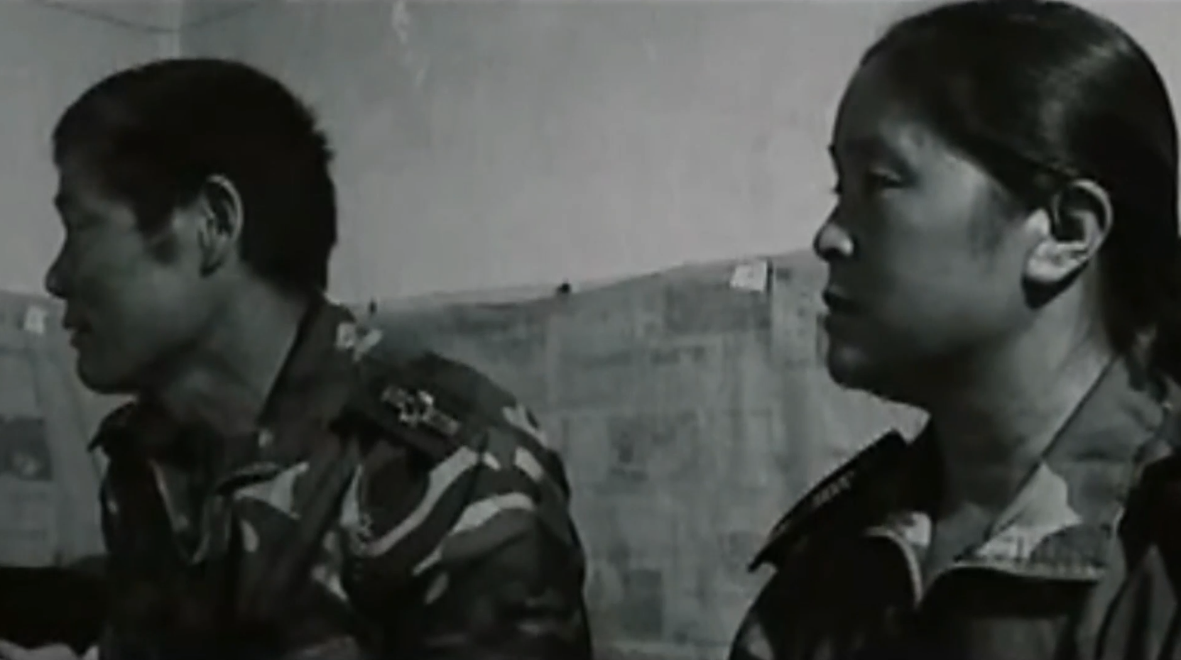 開山島樹種“游”太空