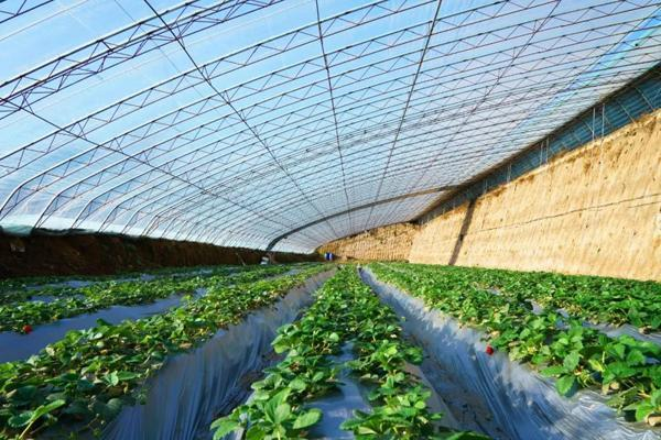 奮進的春天丨好一幅高質量發(fā)展&ldquo;熱乎&rdquo;景象