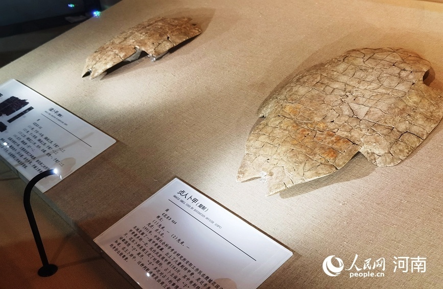 寫意中國(guó)探尋漢字起源|中國(guó)文字博物館:講好中國(guó)文字故事