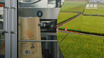 強(qiáng)信心·開(kāi)新局|深耕特色產(chǎn)業(yè) 賦能鄉(xiāng)村振興