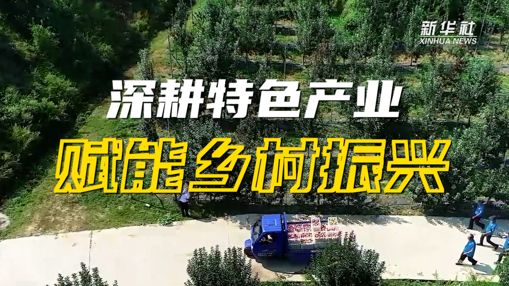 強(qiáng)信心·開(kāi)新局|深耕特色產(chǎn)業(yè) 賦能鄉(xiāng)村振興