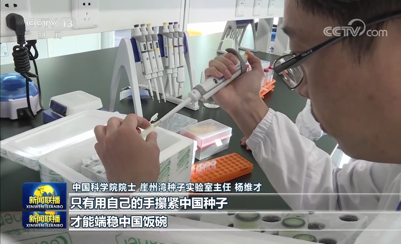 【新思想引領(lǐng)新征程】攥緊中國(guó)種子 端穩(wěn)中國(guó)飯碗