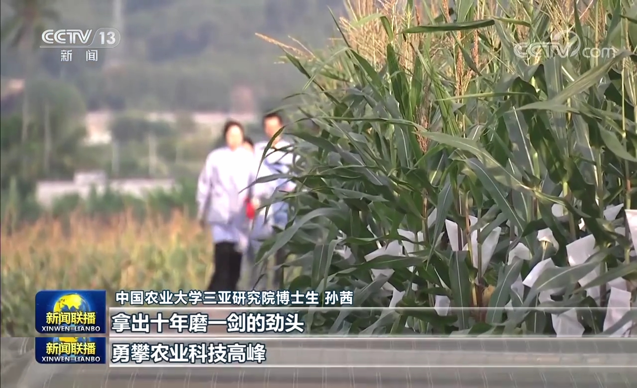 【新思想引領(lǐng)新征程】攥緊中國(guó)種子 端穩(wěn)中國(guó)飯碗