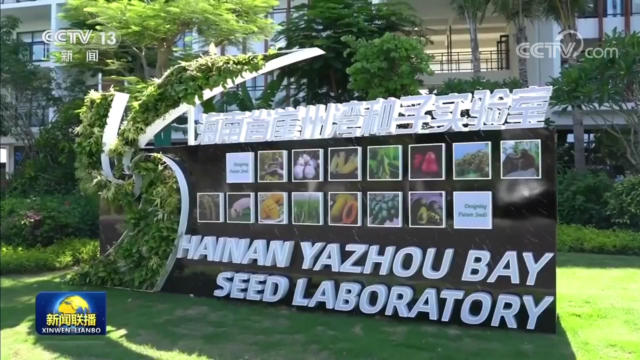 【新思想引領(lǐng)新征程】攥緊中國(guó)種子 端穩(wěn)中國(guó)飯碗