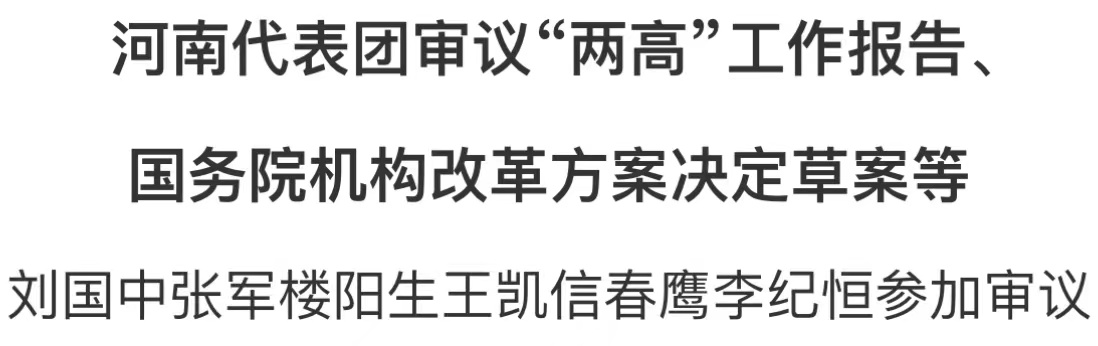 河南代表團審議“兩高”工作報告、國務院機構改革方案決定草案等