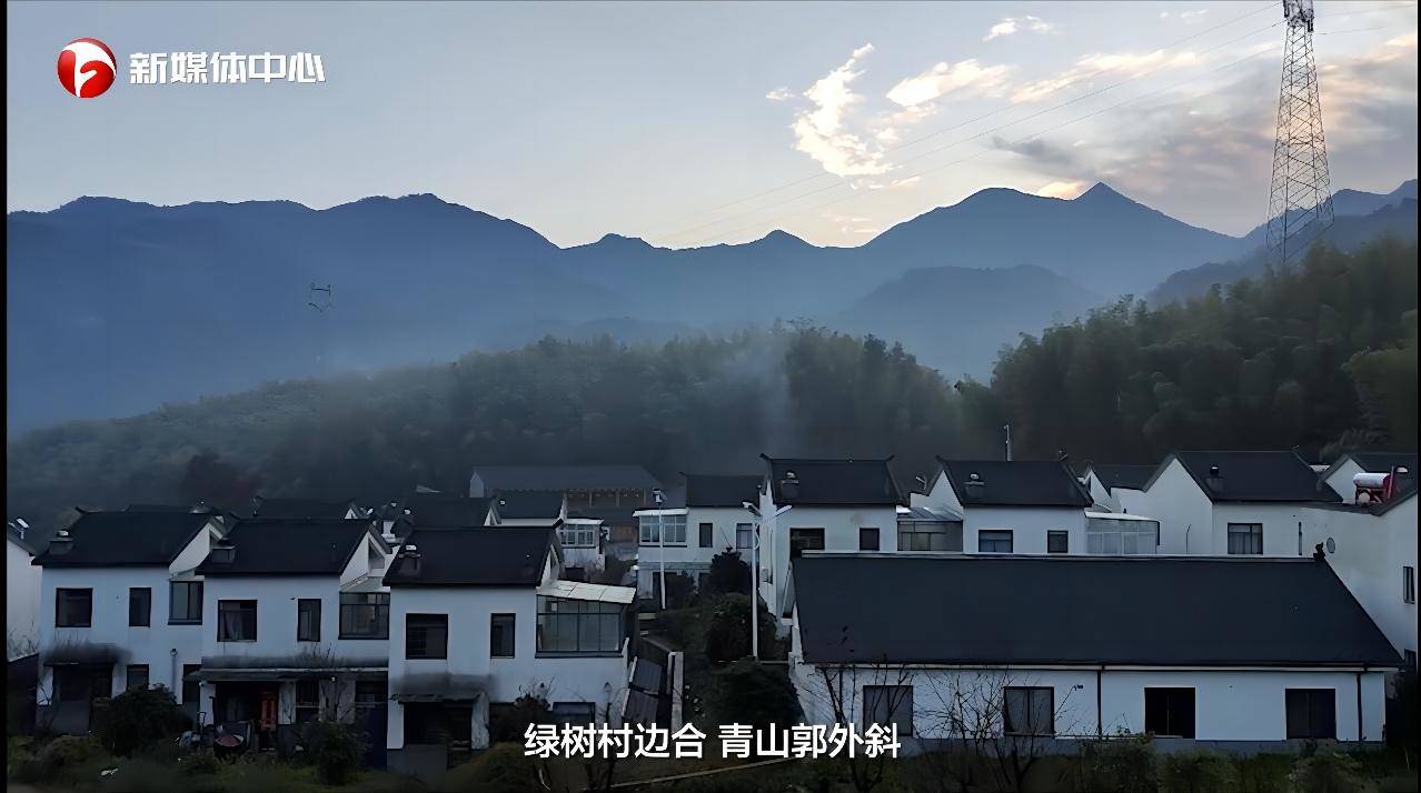  &ldquo;請總書記放心，我們一定會把大灣村建設(shè)得更美更好&rdquo;