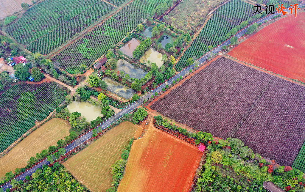 【央視快評】在新征程上作出無負時代、無負歷史、無負人民的業(yè)績