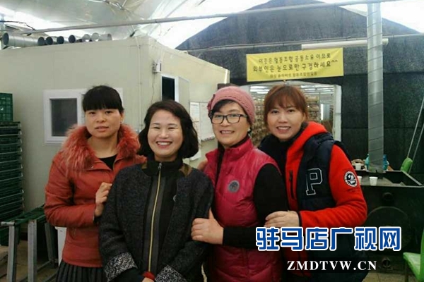 泌陽：昔日貧困戶  今日韓國洋專家&rdquo;