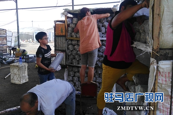 泌陽：昔日貧困戶  今日韓國洋專家&rdquo;