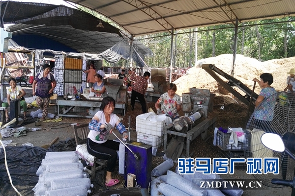 泌陽：昔日貧困戶  今日韓國洋專家&rdquo;