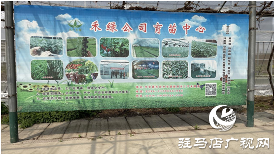 不負春日好時光 &ldquo;禾綠&rdquo;大棚出苗忙