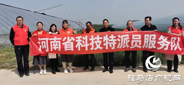 河南省科技特派員服務隊赴上蔡縣開展技術服務