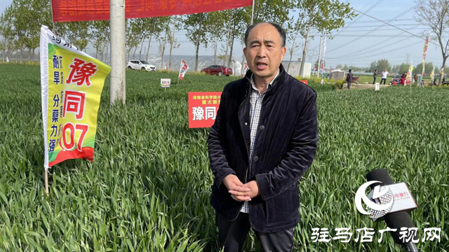 重磅！噸源種業(yè)再添強(qiáng)勢(shì)小麥品種，豫同107助農(nóng)增產(chǎn)豐收！