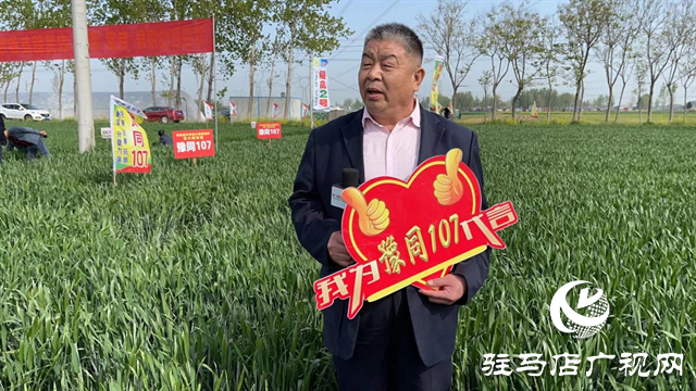 重磅！噸源種業(yè)再添強(qiáng)勢(shì)小麥品種，豫同107助農(nóng)增產(chǎn)豐收！