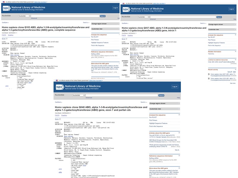 河南發(fā)現(xiàn)3個ABO新等位基因 填補血型研究空白