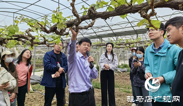 河南農(nóng)業(yè)大學(xué)園藝學(xué)院深入杰美公司開(kāi)展&ldquo;訪企拓崗促就業(yè)&rdquo;活動(dòng)