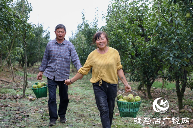 泌陽縣： &ldquo;蹚出&rdquo;鄉(xiāng)村集體經(jīng)濟發(fā)展新路子