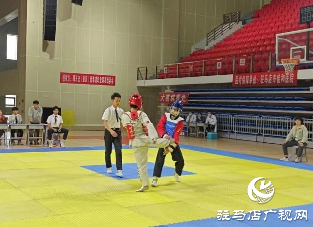 跆拳道健兒展英姿！2023年踢王決世界跆拳道職業(yè)聯(lián)賽(駐馬店站) 震撼開賽