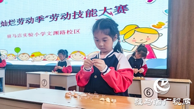 駐馬店實(shí)驗(yàn)小學(xué)：勞動(dòng)書寫精彩 奮斗展示自我