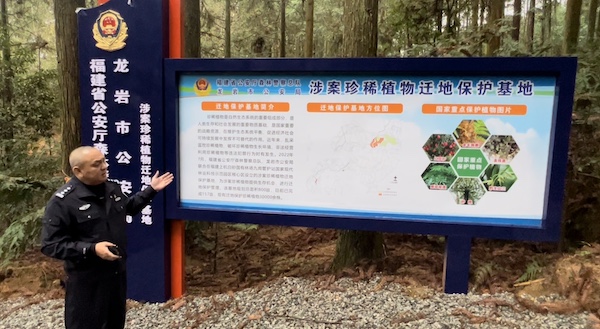 百余株古樹被“下毒”警方出擊守護古樹綠意永存