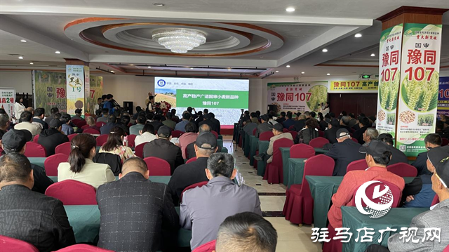 引領(lǐng)小麥新方向！噸源種業(yè)2023年豫同107觀摩會(huì)隆重召開(kāi)
