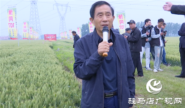 引領(lǐng)小麥新方向！噸源種業(yè)2023年豫同107觀摩會(huì)隆重召開(kāi)