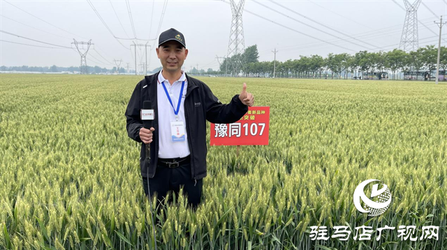 引領(lǐng)小麥新方向！噸源種業(yè)2023年豫同107觀摩會(huì)隆重召開(kāi)