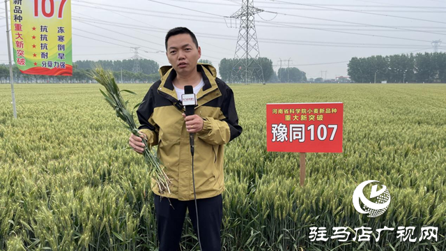 引領(lǐng)小麥新方向！噸源種業(yè)2023年豫同107觀摩會(huì)隆重召開(kāi)